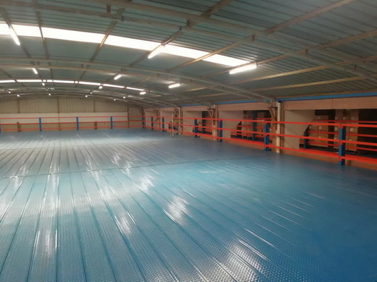 โพลตฟอร์มเหล็กหลายระดับหนัก/ปานกลาง โรงงาน Mezzanine Floors in Blue and Orange Color